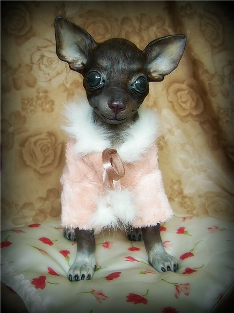 Подружка--той-терьер. ООАК Светланы Гришко