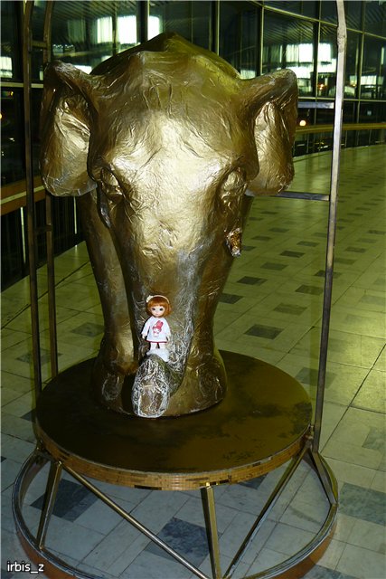 Вот так чудеса или как Ариэль в Большой Московский Цирк ходила. PukiFee Ante Ариэтти, PukiFee Bonnie Ариэль (фото 8)