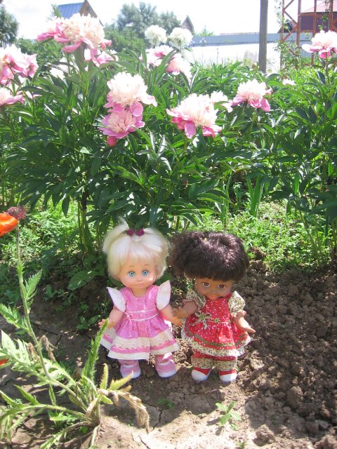 Как мои Фейсинки отдыхали