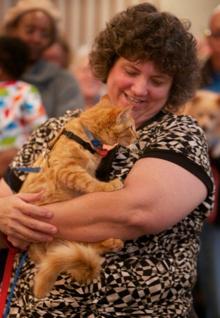 Мне вслед глядит душа кошачья... 4 октября - день памяти святого Франциска и Международный день животных