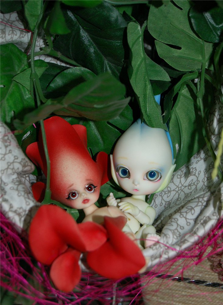 Цветы Dollzone, продолжение (фото 9)