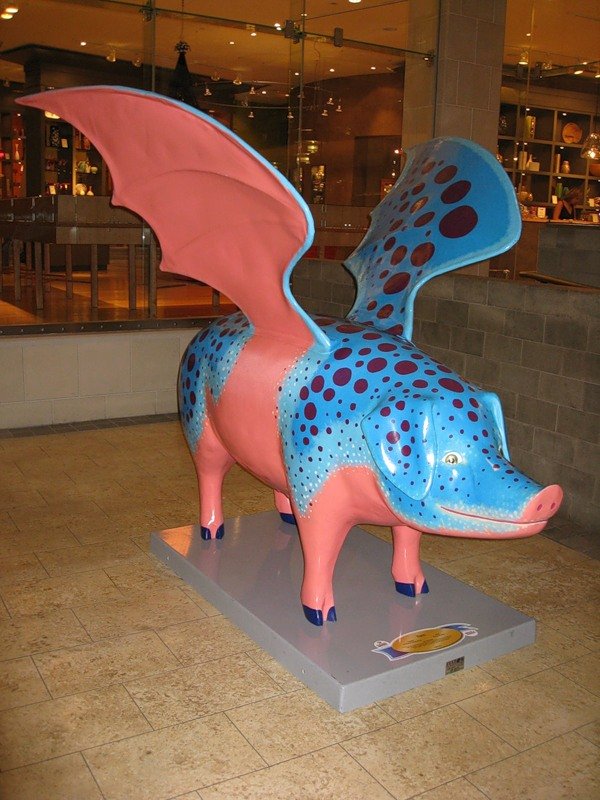 Сиэтл. Такие забавные свинки (фото 9)