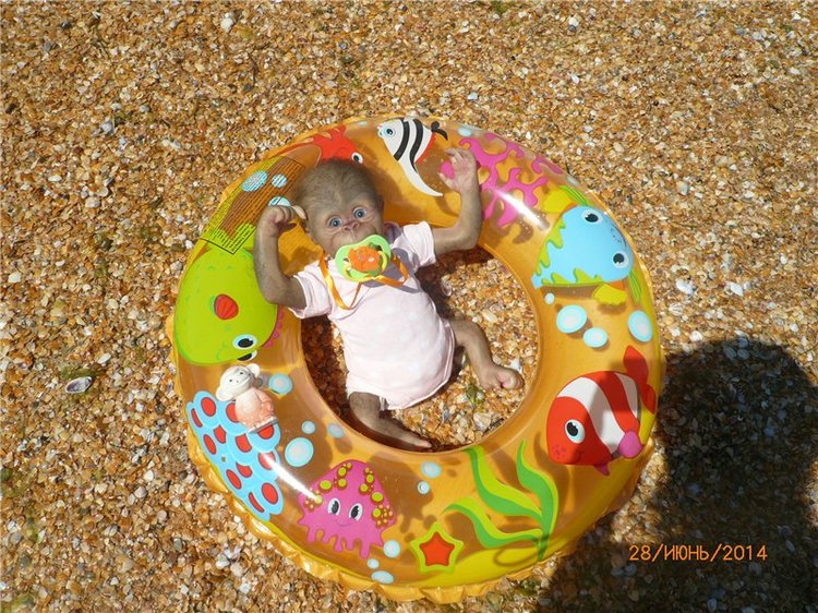 Анфисочка! Кукла - реборн - обезьянка Светланы Преображенской. Часть первая