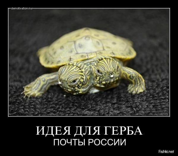 Почта России доставляет))) | Бэйбики Почта России доставляет))) (фото 3)