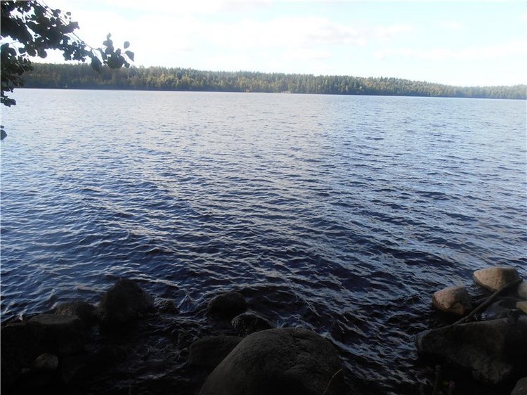 Любителям природы и походов за грибами