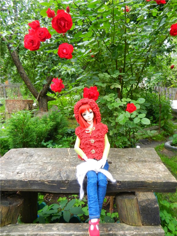 Сборная солянка (Любимые БЖД)