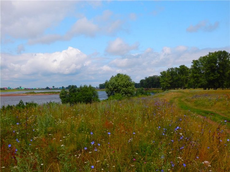 Башкирия , Охлебинино . Место , где отдыхает душа