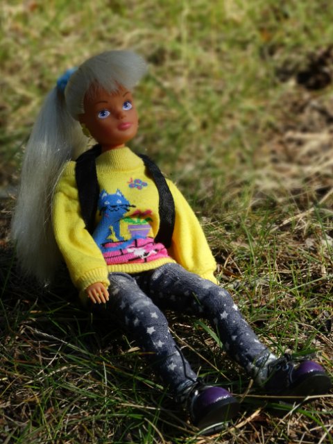 Девочки гуляют — Куклы Sindy (Синди) и Tammy (Тамми): винтаж