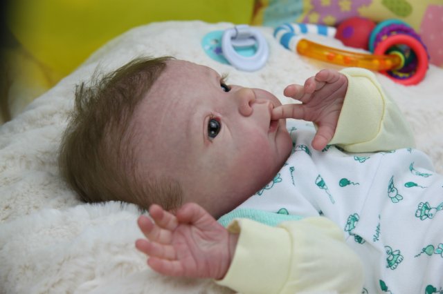 Софийкин! Кукленок реборн Виктории Вишни