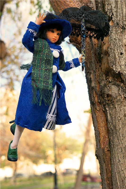 Где ты, Мэри — Аниме куклы (MJD/Винил): Imomo