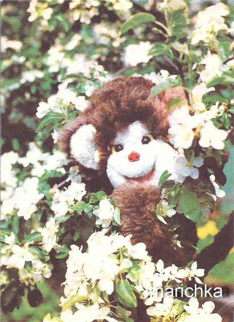 Год огненной обезьяны — Болталка и разговоры обо всем: жизнь