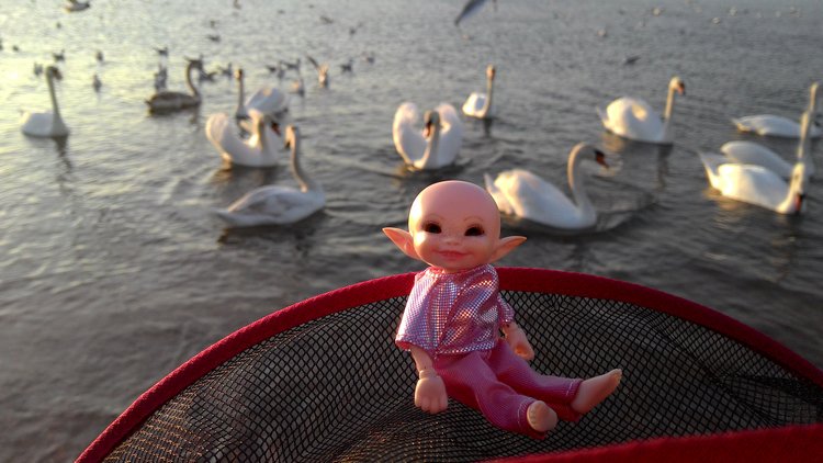 Кто живет в моей сумке — Куклы Fairyland (ФэйриЛэнд): BJD (БЖД)