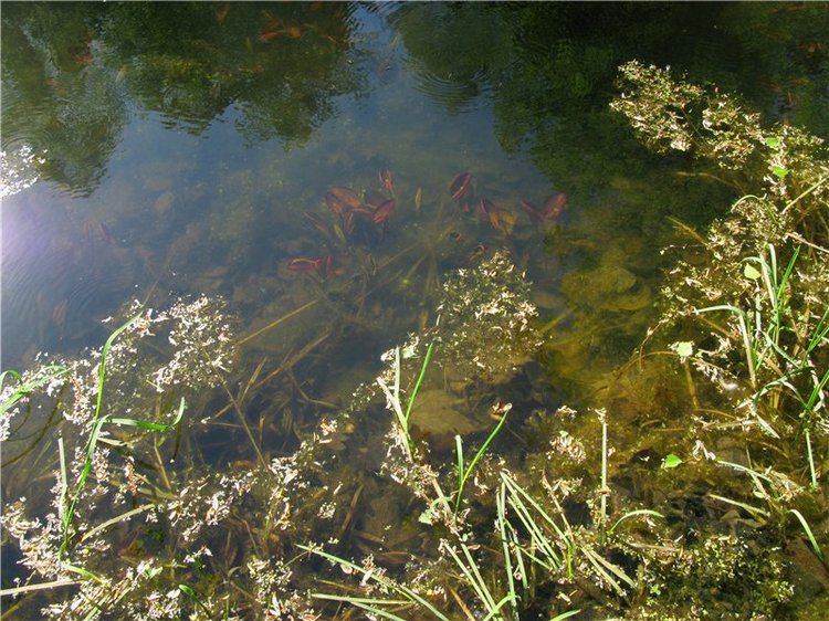 Субботний вояж. Заключительная часть