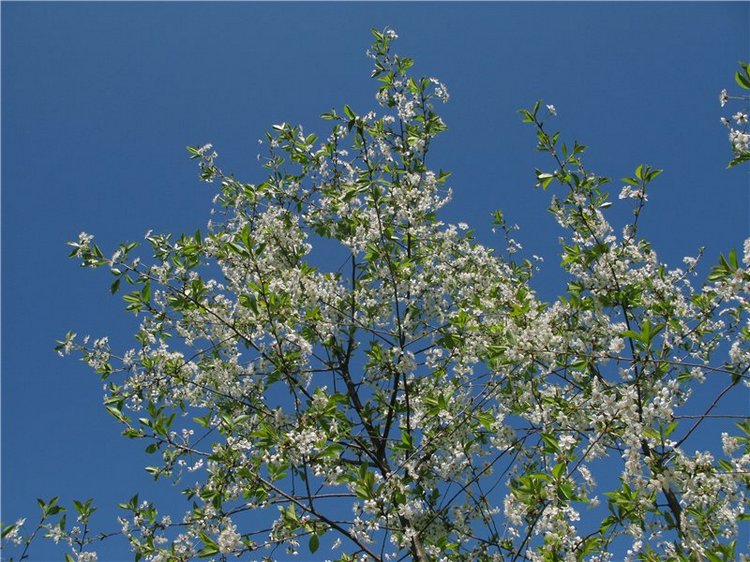 Субботний вояж. Часть первая