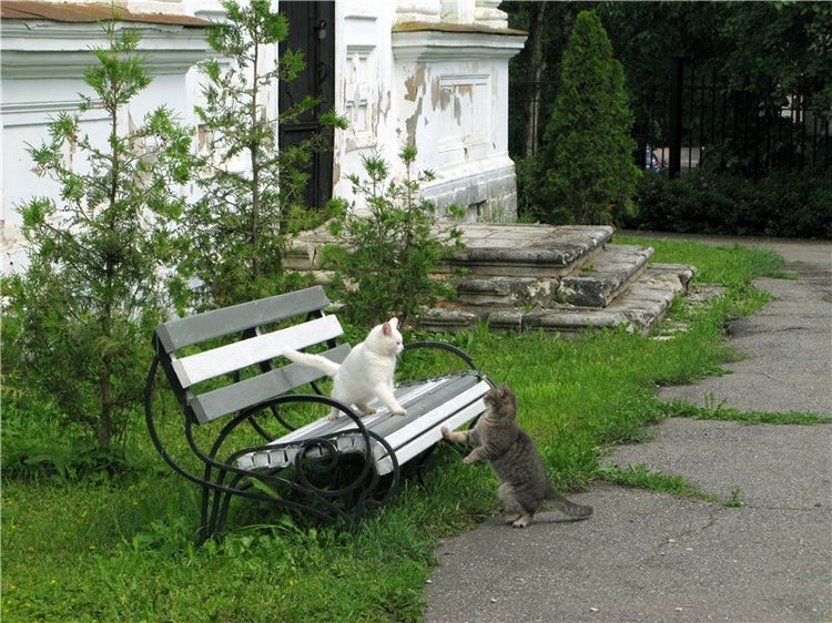 Кашин - город русского сердца. Часть седьмая. Вознесенский кафедральный собор