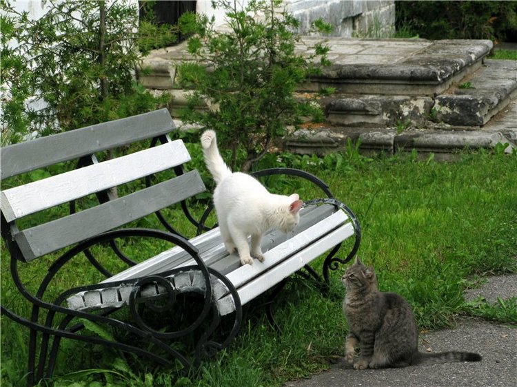 Кашин - город русского сердца. Часть седьмая. Вознесенский кафедральный собор