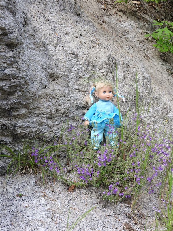 Любителям маленьких кукол