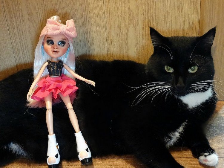 Мой цветочек, ещё одна перерисованная Братц (фото 4)