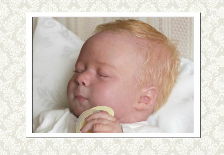 Реалборн Кимберли, сейчас принц Гарри (фото 4)