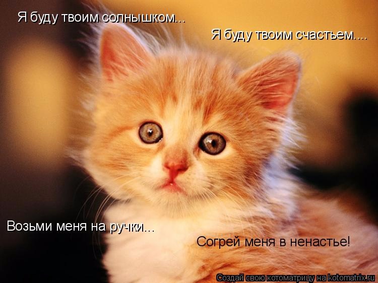 Субботний позитив! Фотографии с осенними животными! Осенняя котоматрица | Бэйбики Субботний позитив! Фотографии с осенними животными! Осенняя котоматрица