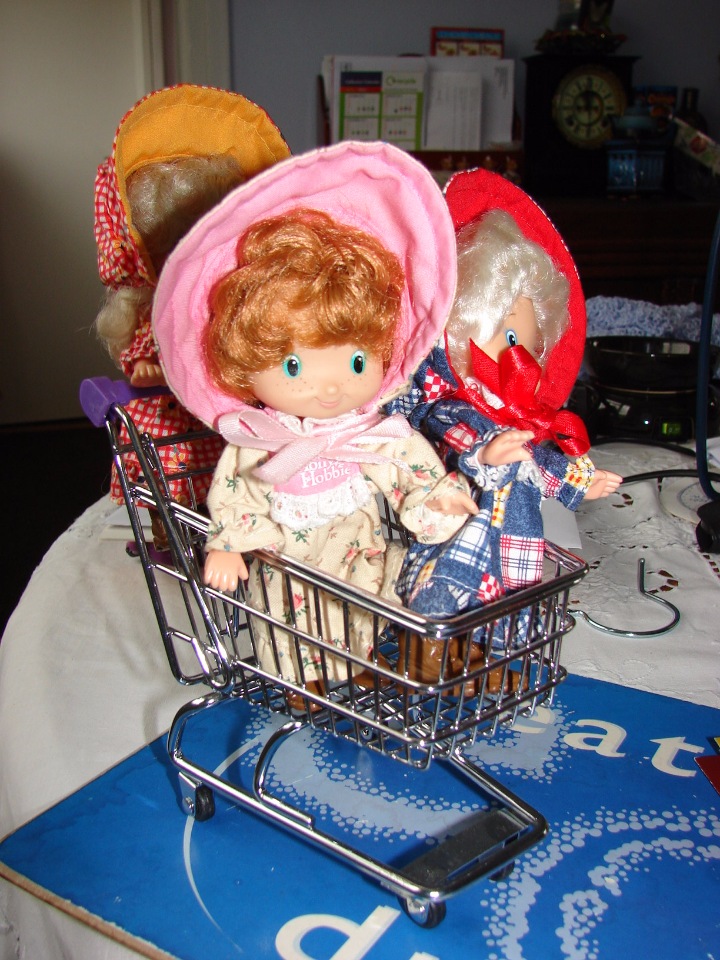 Holly Hobbie (Холли Хобби) продолжение