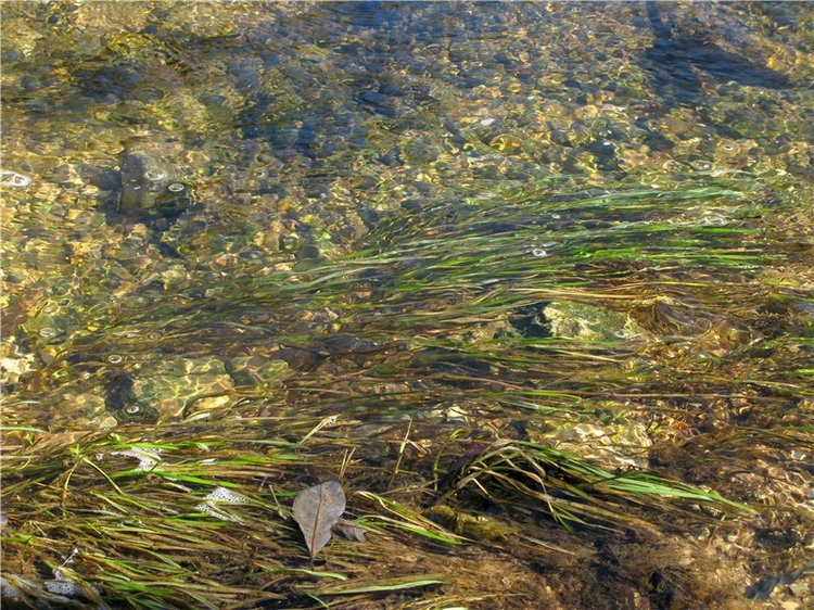 Приключения Адель на водопаде. Джульетта от Sylvia Natterer