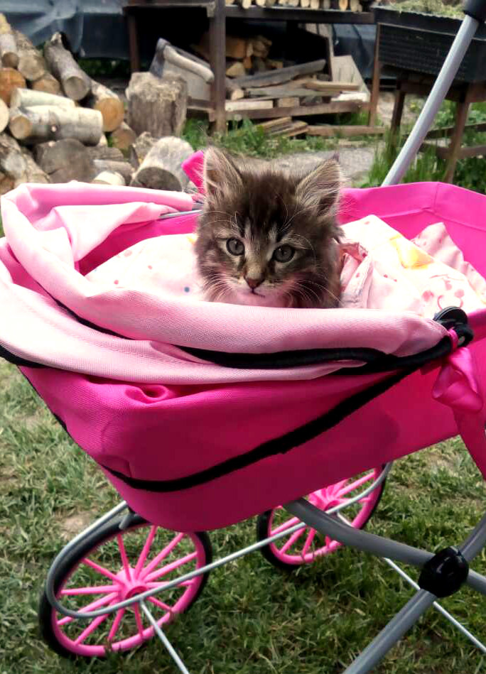 Лерочка и её куклы. Коллекционная кукла Лена Sissel Skille