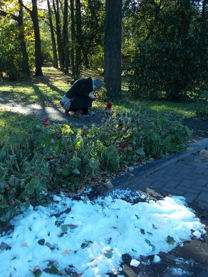 Всё та же осень, но совсем другие фото (фото 3)