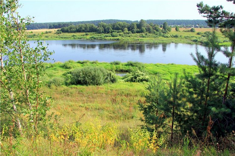 Просто Соня. Уникальные куклы от Сильвии Наттерер | Бэйбики Просто Соня. Уникальные куклы от Сильвии Наттерер