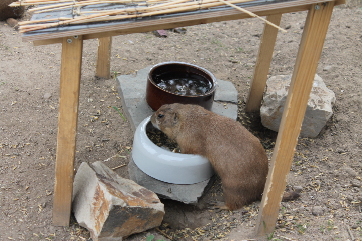 По Германии: зоопарк Лейпцига, часть 1