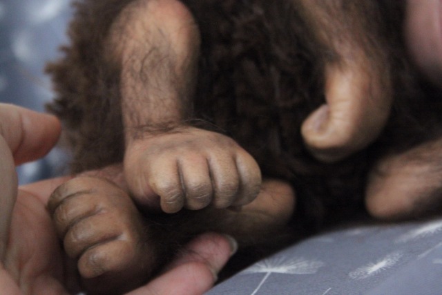 Клёпочка, кукла реборн Элины Кудрявцевой (фото 8)