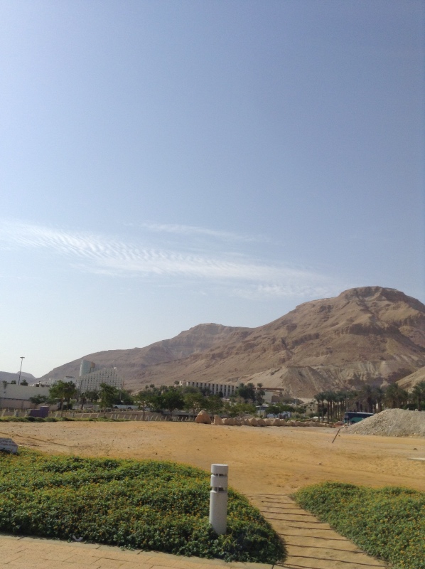 Белое солнце пустыни. Ч.2. Восточное, Соленое, Мертвое море- легенда (фото 7)