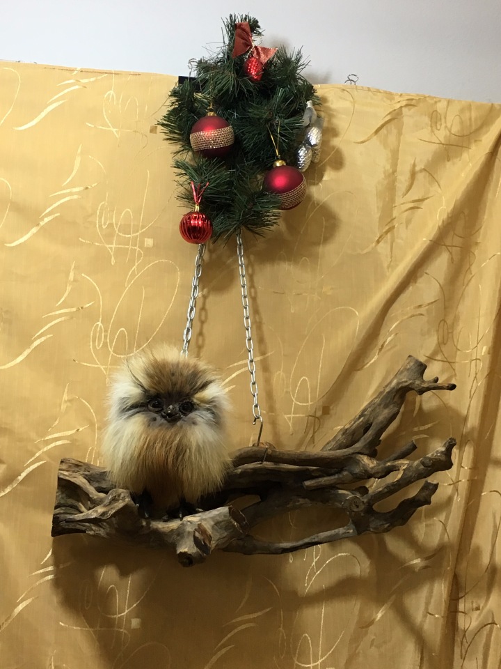 Выставка "Hello Teddy" на Тишинке - мой взгляд - часть 1