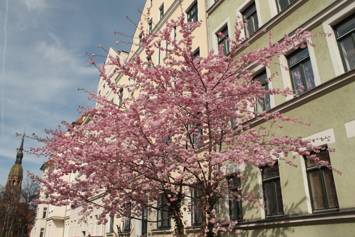 По Германии: весна в Лейпциге