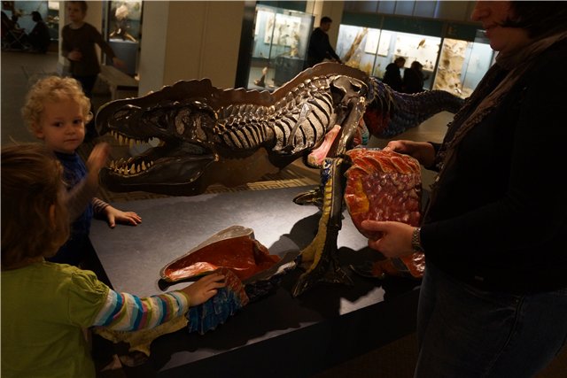 Взятие Берлина. Часть 3. Аква-дом, Улыбка бегемота и Прототип куколок Шильдкрот