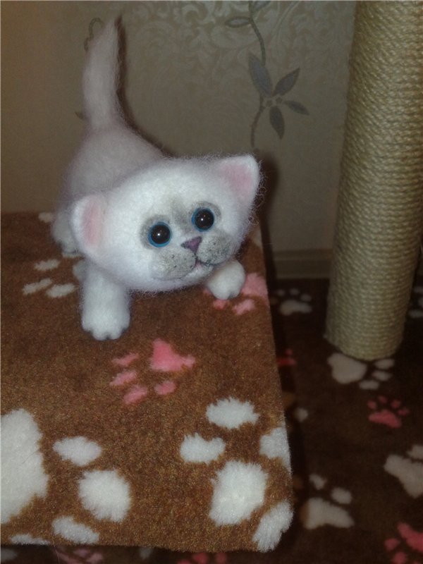 Котенок из шерсти! Сухое валяние (фото 5)