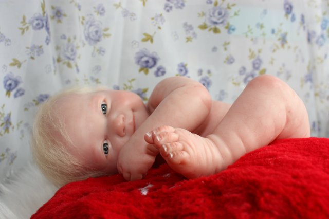 Реборн из Беренджер, нежность в пелёнках (фото 2)