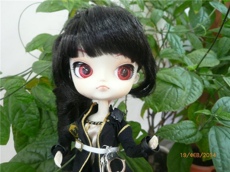 Люсенька - куколка Dal — Куклы Pullip (Пуллип) (фото 2)