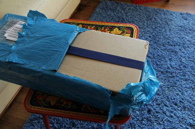 Моя первая Zwergnase. Моя Martha. Приглашаю на дебоксинг (фото 2)