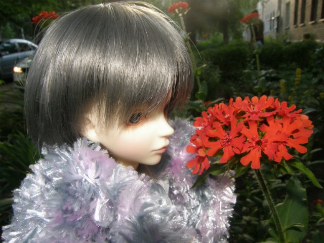 Холодное лето в цветах — Гибридизация кукол BJD (БЖД): пересадка головы (фото 10)