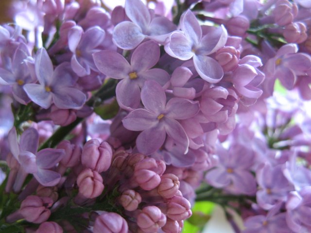 Новый наряд для Карлы | Бэйбики Новый наряд для Карлы — Одежда и обувь для кукол своими руками: фото