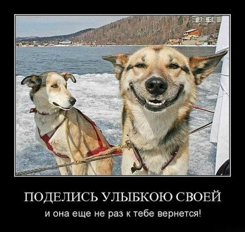 Понедельник - день тяжёлый | Бэйбики Понедельник - день тяжёлый