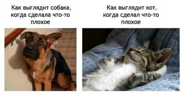 Понедельник - день тяжёлый | Бэйбики Понедельник - день тяжёлый