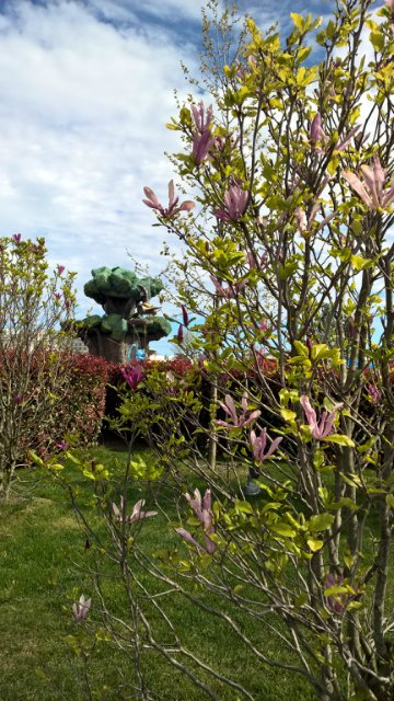 Сочи-парк, или, Русский Диснейленд. Часть 2