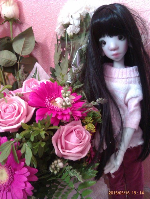 Моя новая звездочка - Лайла. Ну и вся банда вместе (фото 7)