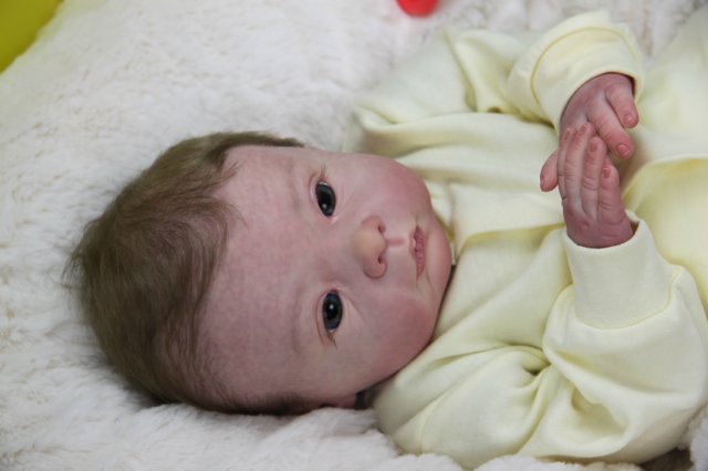 Софийкин! Кукленок реборн Виктории Вишни