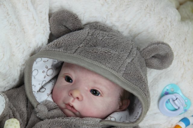 Софийкин! Кукленок реборн Виктории Вишни