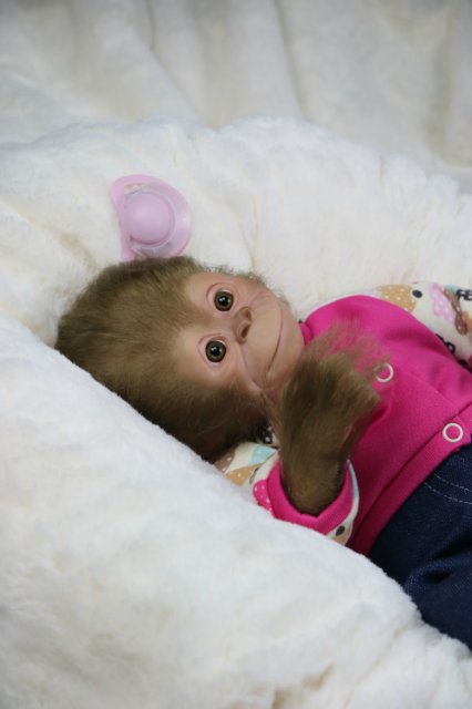 Мартышка - малышка... Куколка реборн Виктории Вишни