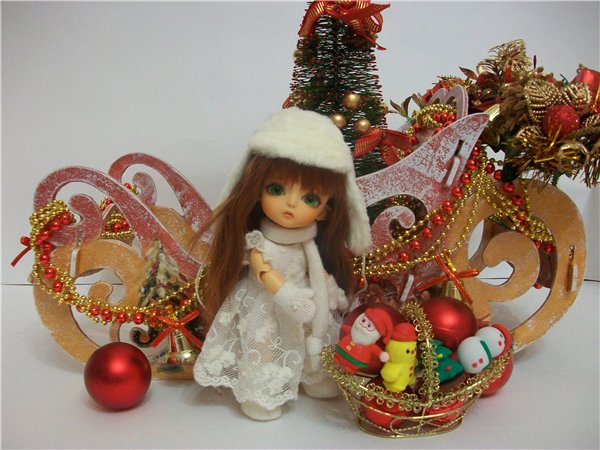 Как мои Латишки встречали Новый Год