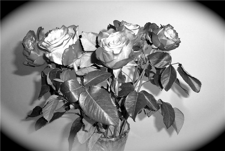 Hildegard Gunzel. Черно-белая сказка